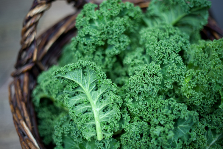 10 ประโยชน์ ‘เคล’ ราชินีผักใบเขียวที่สาย ‘สุขภาพ’ ต้องรู้จัก